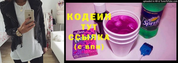 прущий лед Арсеньев