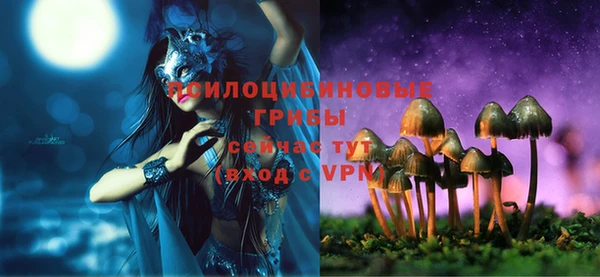прущий лед Арсеньев