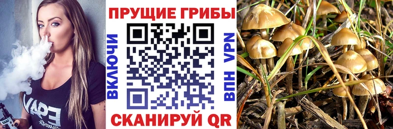 Псилоцибиновые грибы Psilocybine cubensis блэк спрут маркетплейс darknet официальный сайт Фрязино